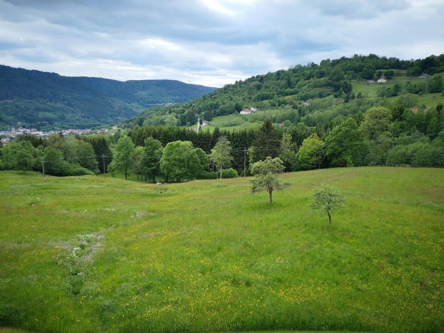 Bed and Breakfast Chambre D'Hotes Nos Racines Saulxures-sur-Moselotte Exterior foto