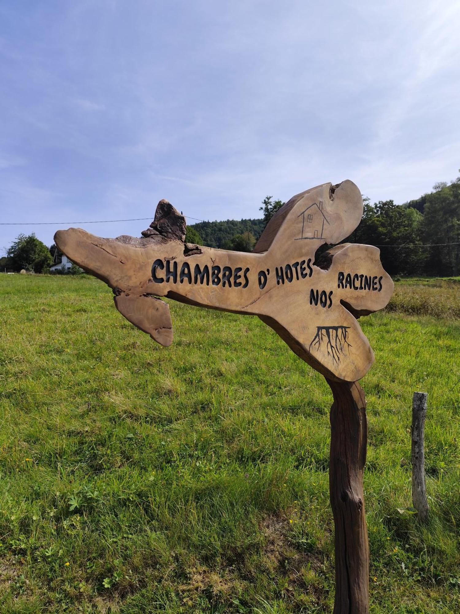 Bed and Breakfast Chambre D'Hotes Nos Racines Saulxures-sur-Moselotte Exterior foto